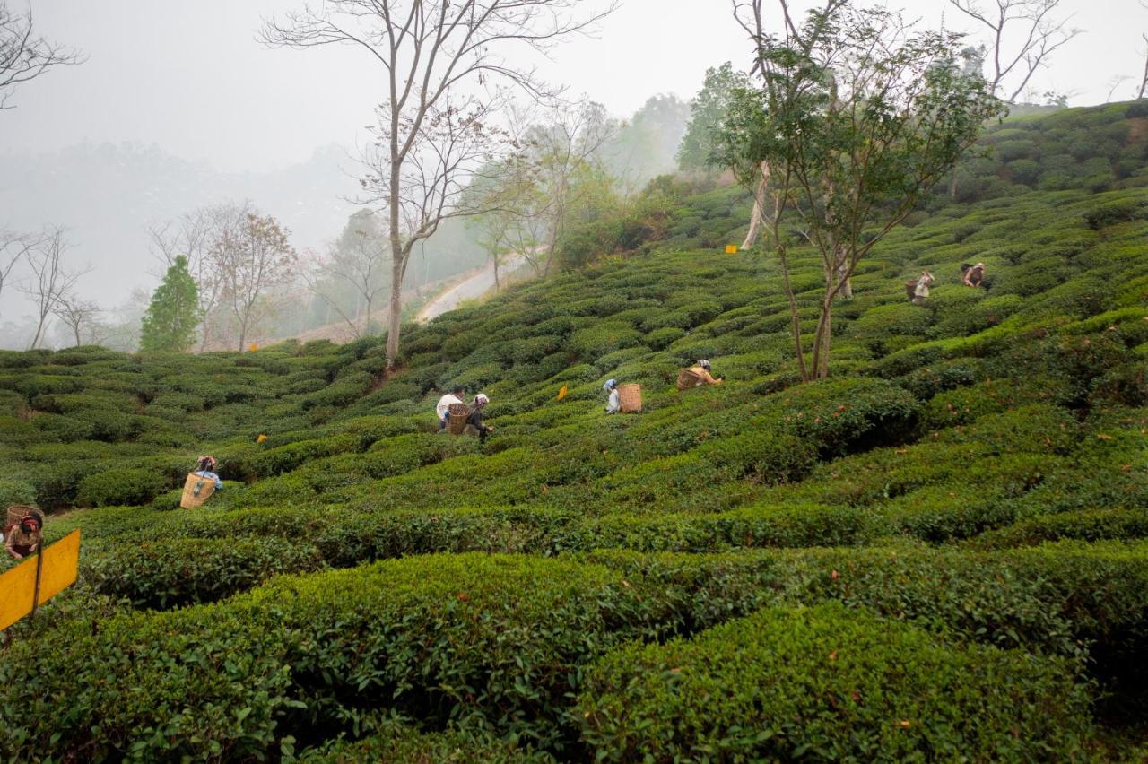 Ama Stays & Trails Puttabong Cottage, Darjeeling Νταρτζίλινγκ Εξωτερικό φωτογραφία